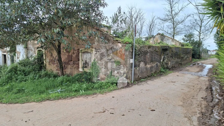 Loja para Venda em Carvalhal Benfeito Foto 3
