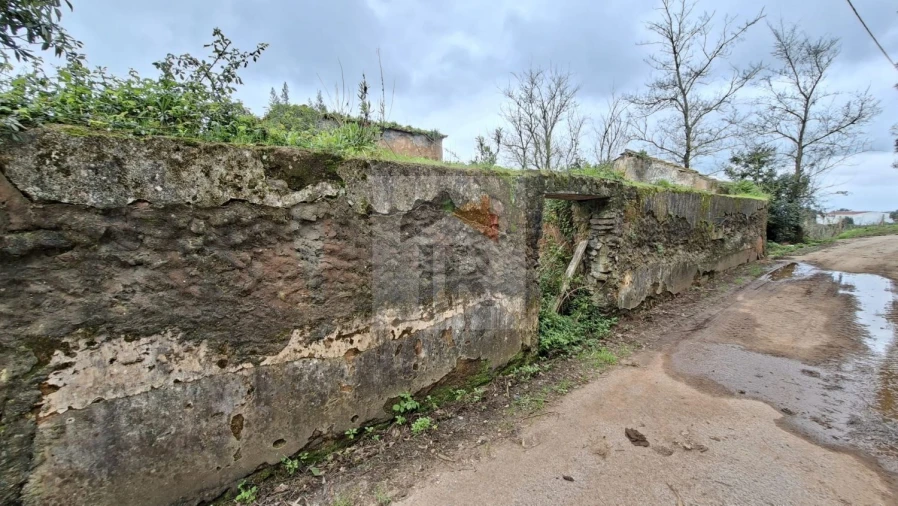 Loja para Venda em Carvalhal Benfeito Foto 10