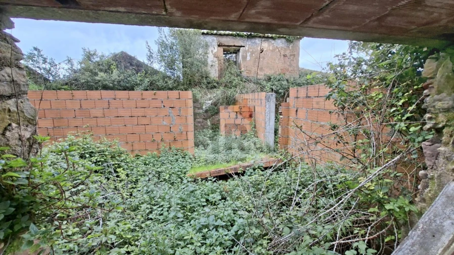 Loja para Venda em Carvalhal Benfeito Foto 7