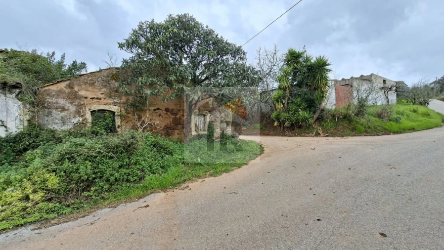 Loja para Venda em Carvalhal Benfeito Foto 11
