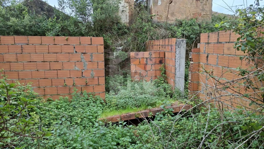 Loja para Venda em Carvalhal Benfeito Foto 8