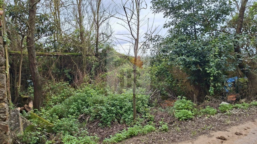 Loja para Venda em Carvalhal Benfeito Foto 15