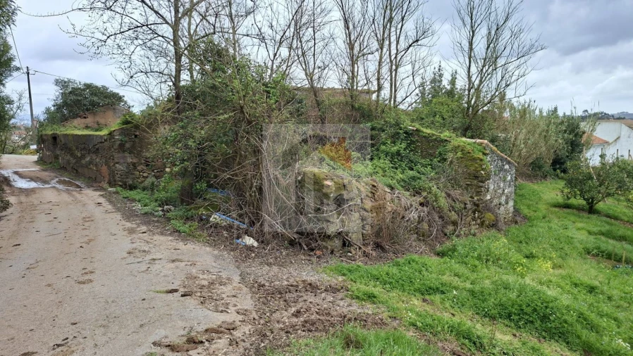 Loja para Venda em Carvalhal Benfeito Foto 14
