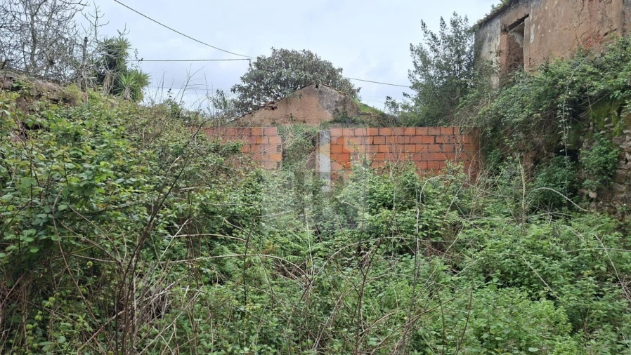 Loja para Venda em Carvalhal Benfeito Foto 13