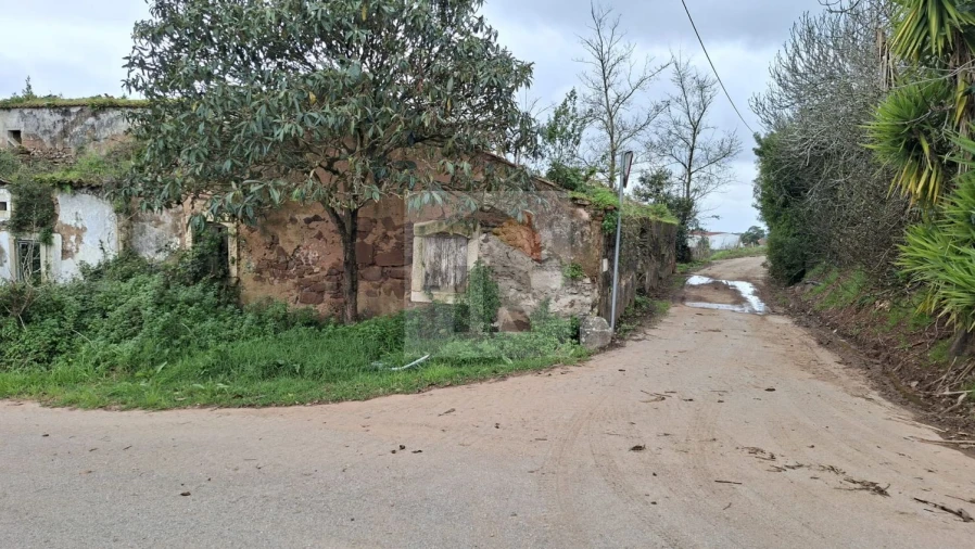 Loja para Venda em Carvalhal Benfeito Foto 6