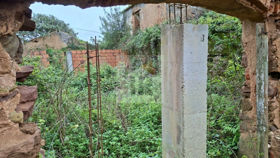 Loja para Venda em Carvalhal Benfeito Foto 18