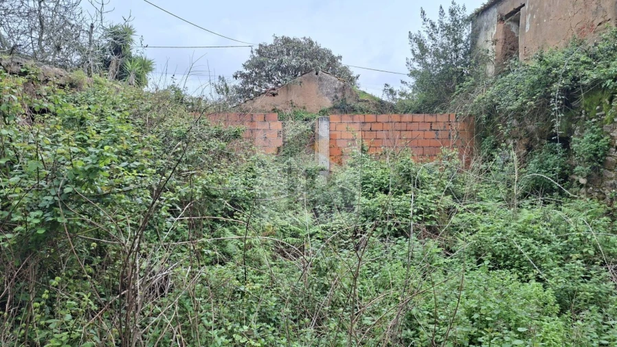 Loja para Venda em Carvalhal Benfeito Foto 17