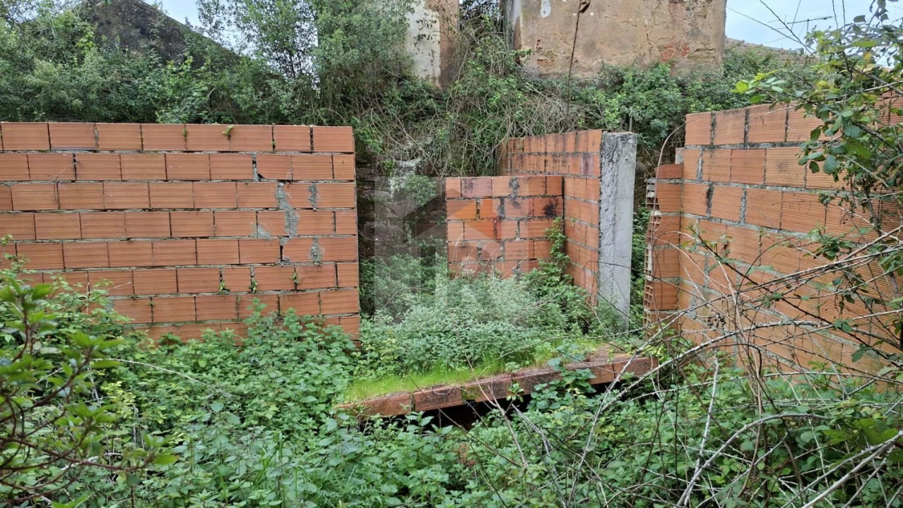 Loja para Venda em Carvalhal Benfeito Foto 8