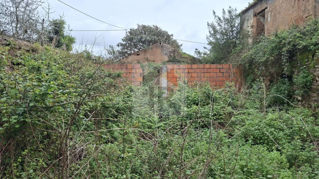 Loja para Venda em Carvalhal Benfeito Foto 13