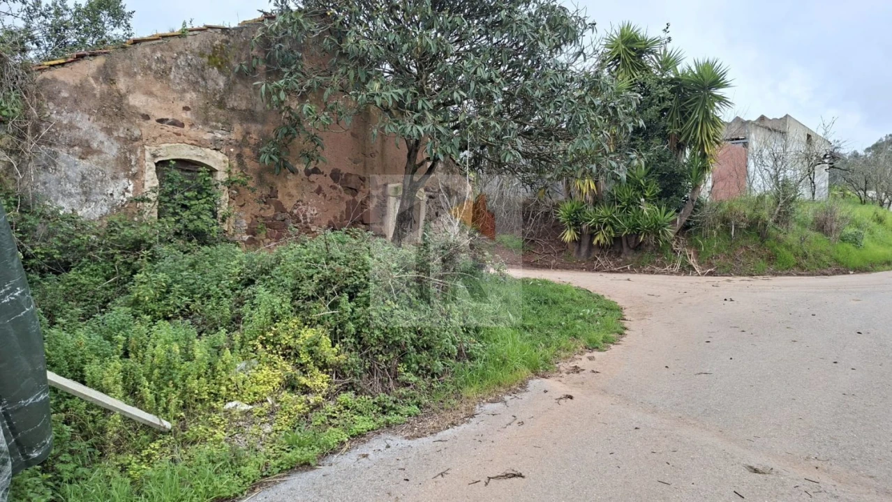 Loja para Venda em Carvalhal Benfeito Foto 12