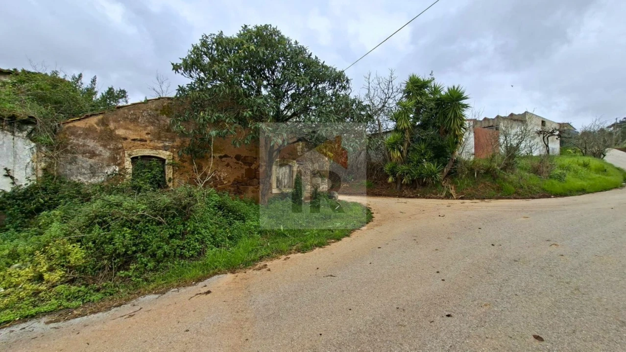 Loja para Venda em Carvalhal Benfeito Foto 5