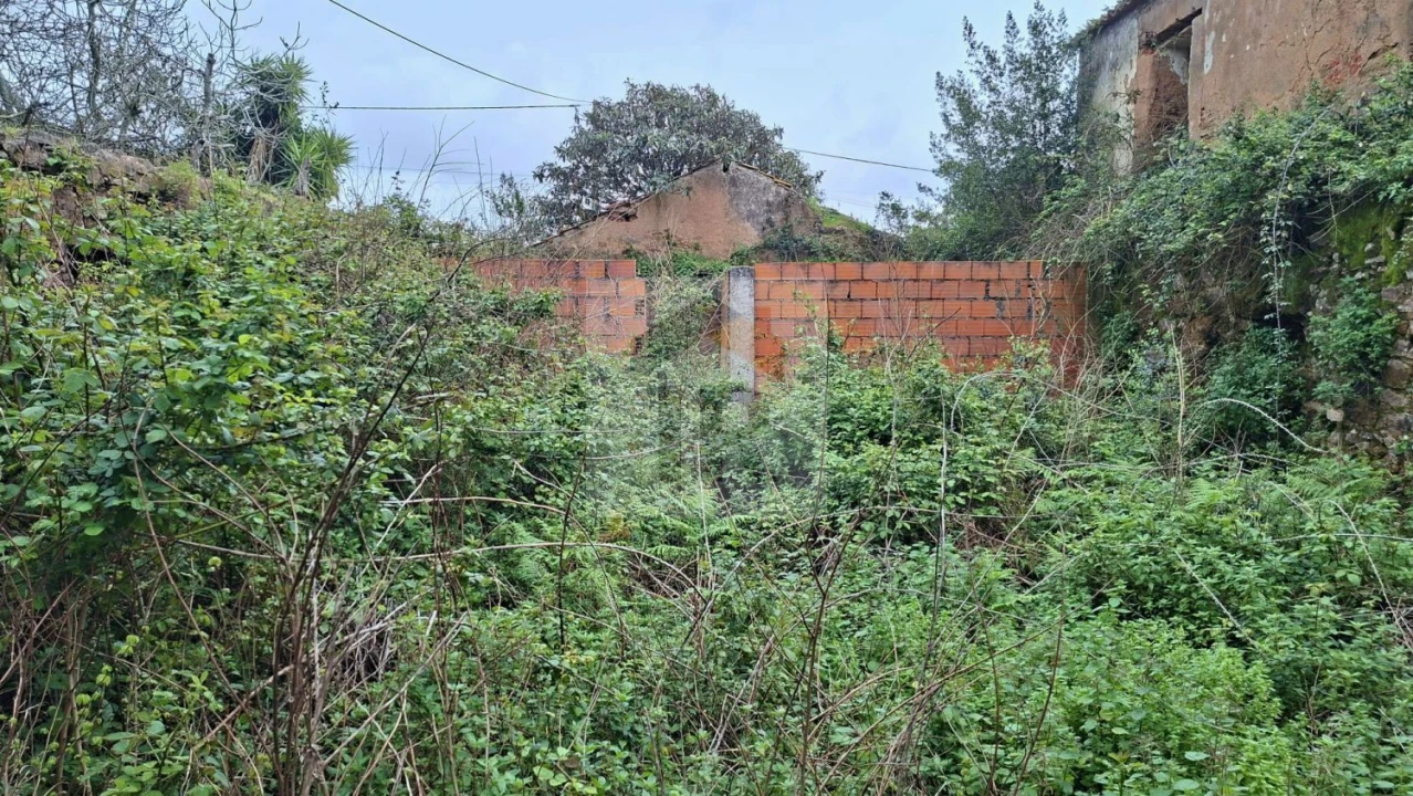 Loja para Venda em Carvalhal Benfeito Foto 16