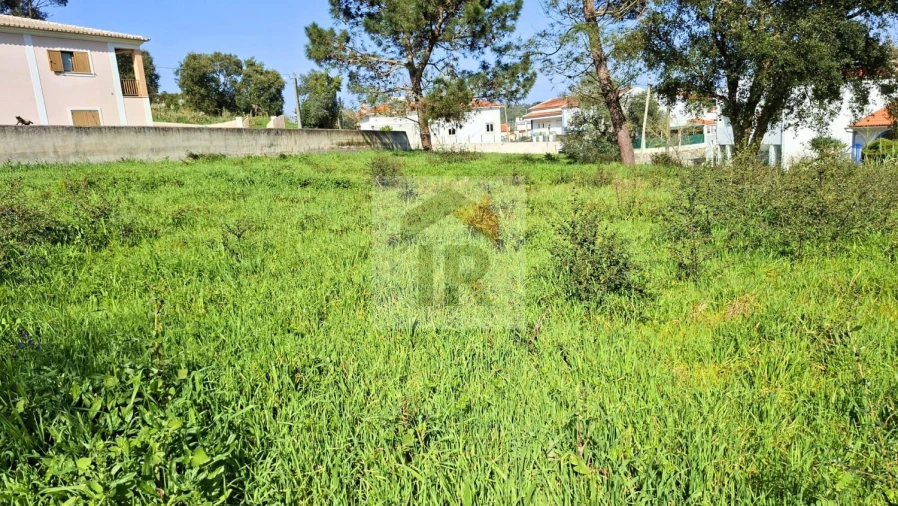 Terreno para Venda em Salir de Matos Foto 10