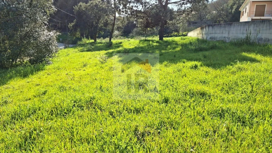 Terreno para Venda em Salir de Matos Foto 7