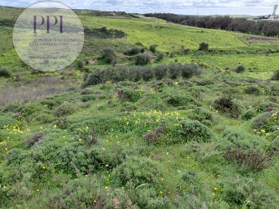 Terreno para Venda em Vila do Bispo e Raposeira Foto 7
