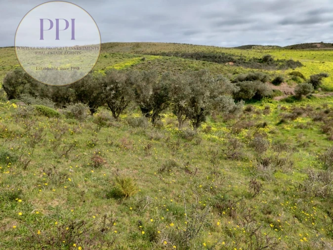 Terreno para Venda em Vila do Bispo e Raposeira Foto 10