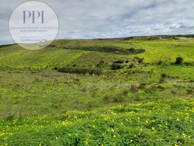 Terreno para Venda em Vila do Bispo e Raposeira Foto 1