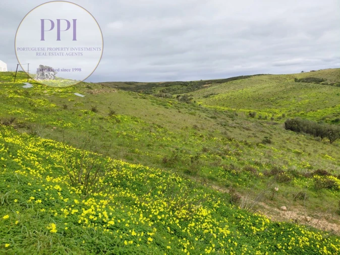 Terreno para Venda em Vila do Bispo e Raposeira Foto 2
