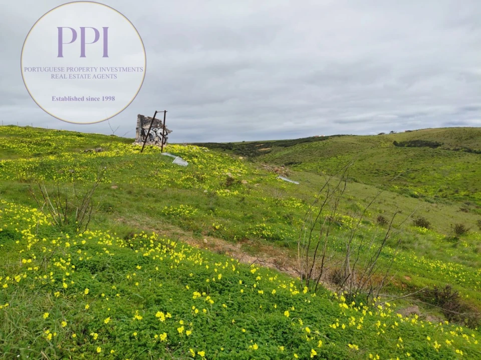 Terreno para Venda em Vila do Bispo e Raposeira Foto 6