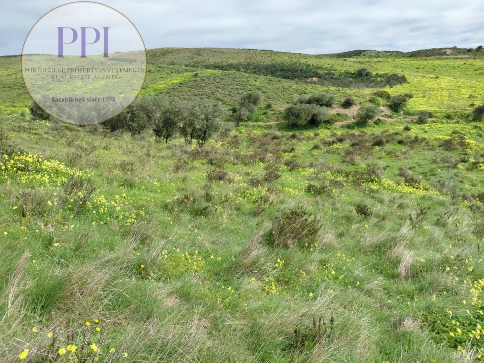 Terreno para Venda em Vila do Bispo e Raposeira Foto 13