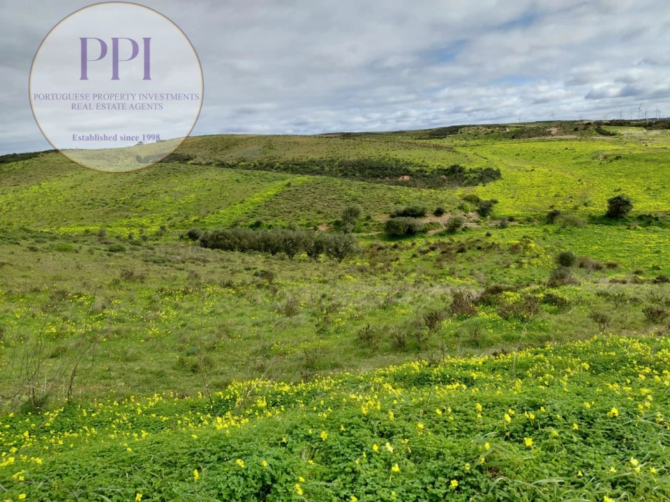 Terreno para Venda em Vila do Bispo e Raposeira Foto 1