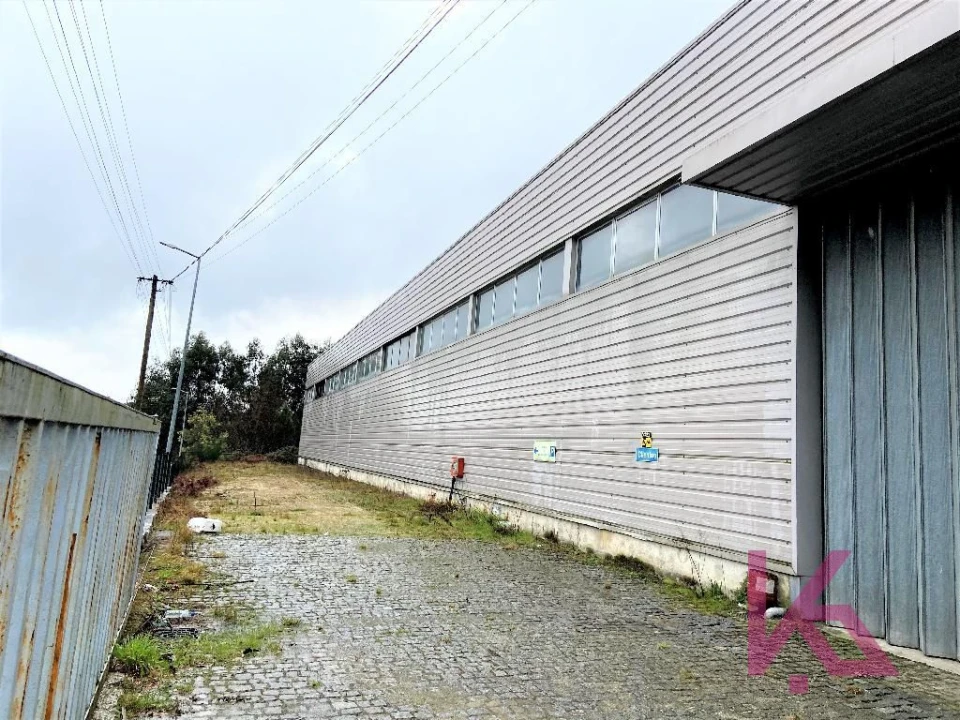 Loja para Venda em Silvares, Pias, Nogueira e Alvarenga Foto 5