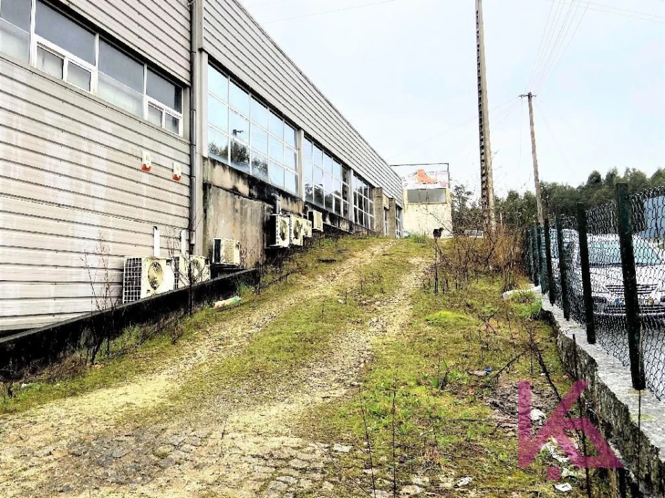 Loja para Venda em Silvares, Pias, Nogueira e Alvarenga Foto 6