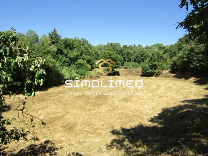 Quinta T0 para Venda em Ferro Foto 5