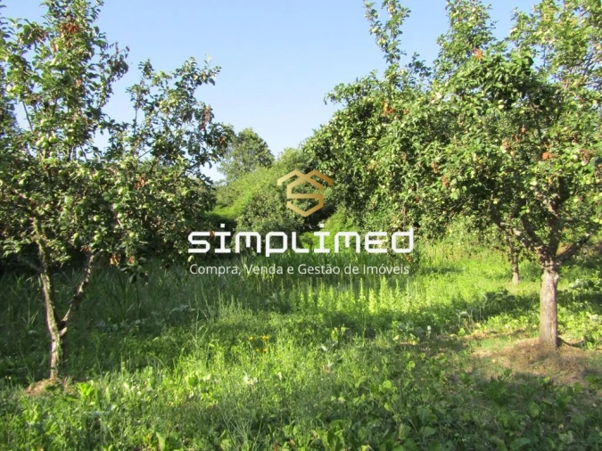 Quinta T0 para Venda em Ferro Foto 17