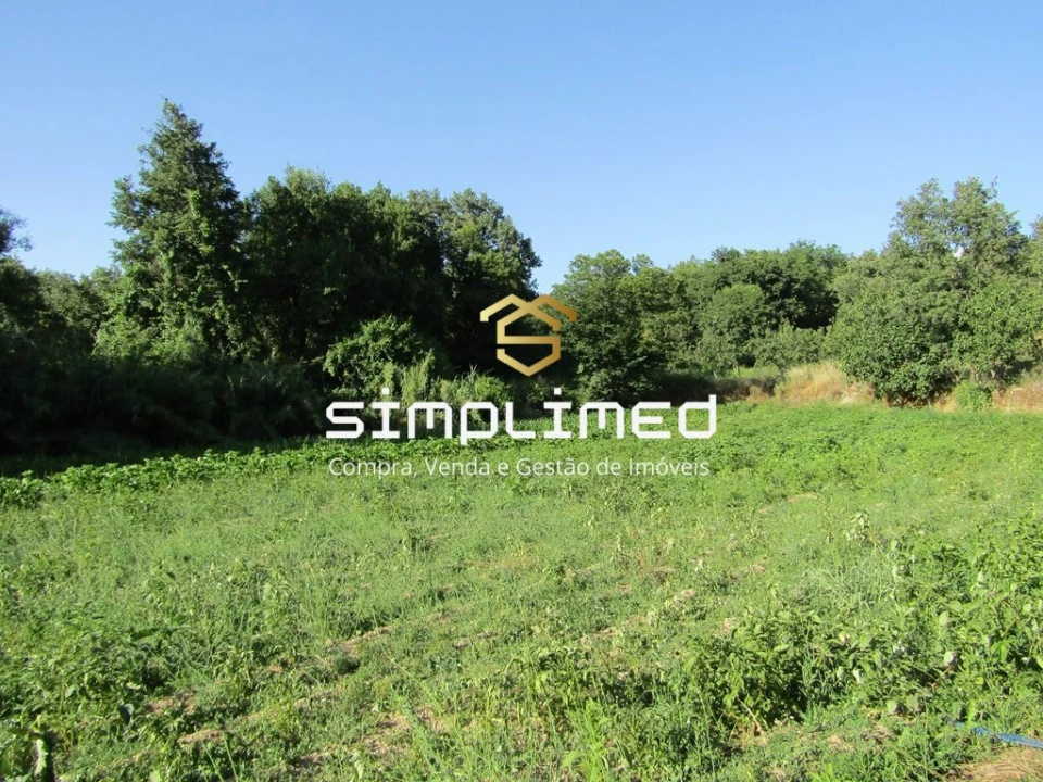 Quinta T0 para Venda em Ferro Foto 15