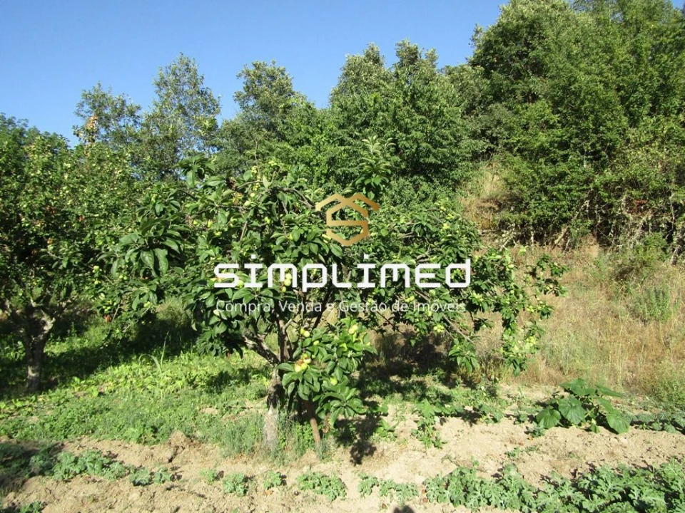 Quinta T0 para Venda em Ferro Foto 18