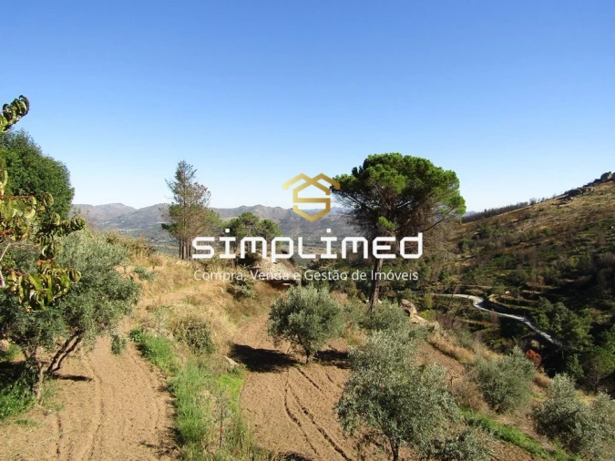 Terreno para Venda em Gonçalo Bocas Foto 21