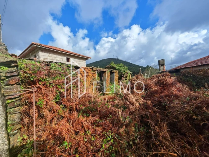 Moradia T1 para Venda em Santa Maria de Sardoura Foto 5