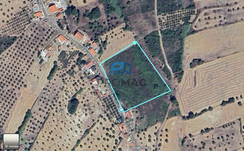 Quinta T0 para Venda em Moçarria Foto 6