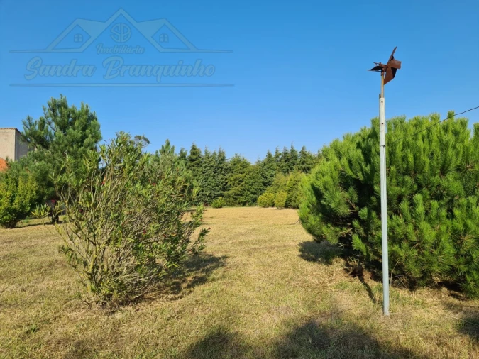 Moradia T5 para Venda em Aldeia Galega da Merceana e Aldeia Gavinha Foto 40