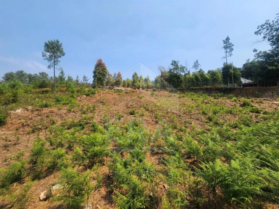 Terreno para Venda em Fontão Foto 2