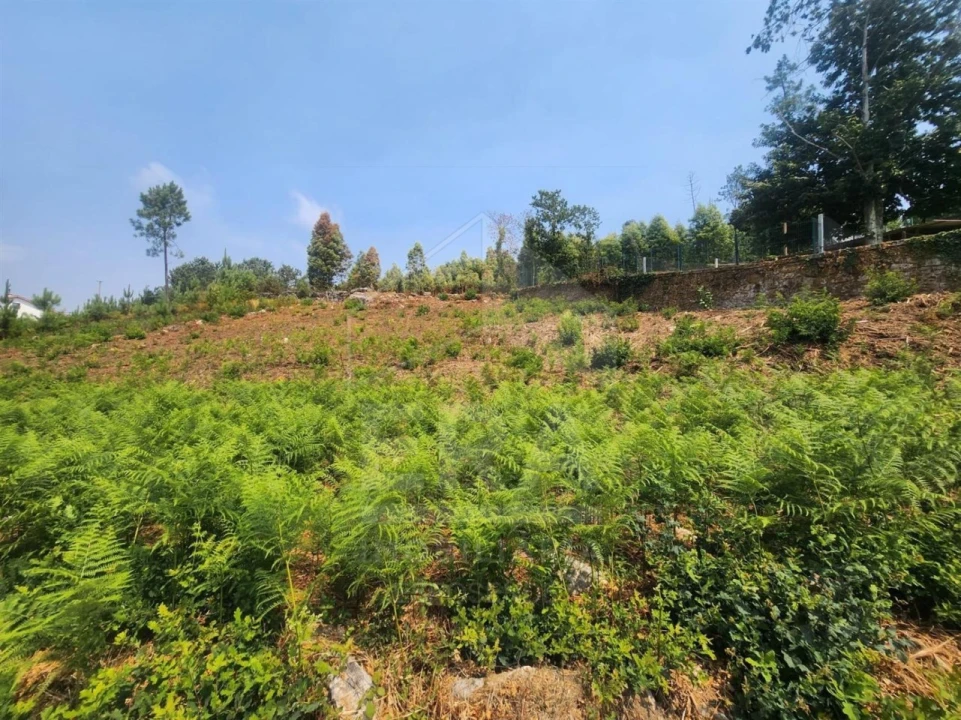 Terreno para Venda em Fontão Foto 3