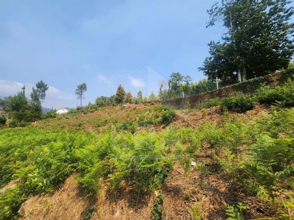 Terreno para Venda em Fontão Foto 4