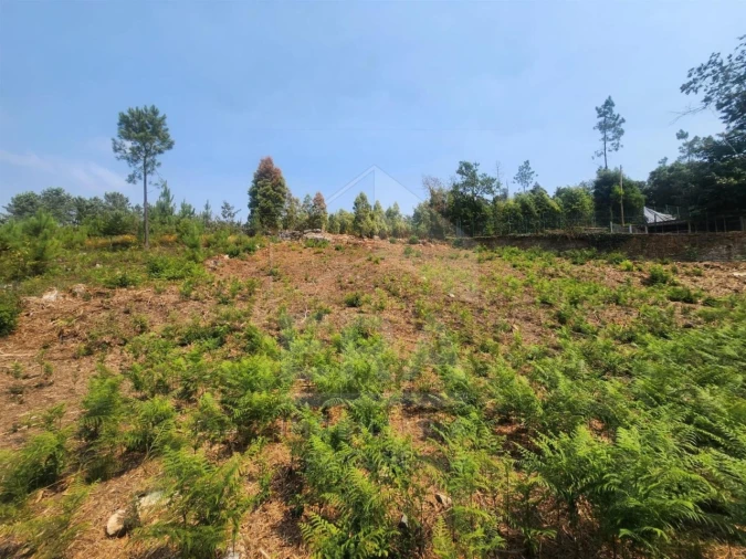 Terreno para Venda em Fontão Foto 2