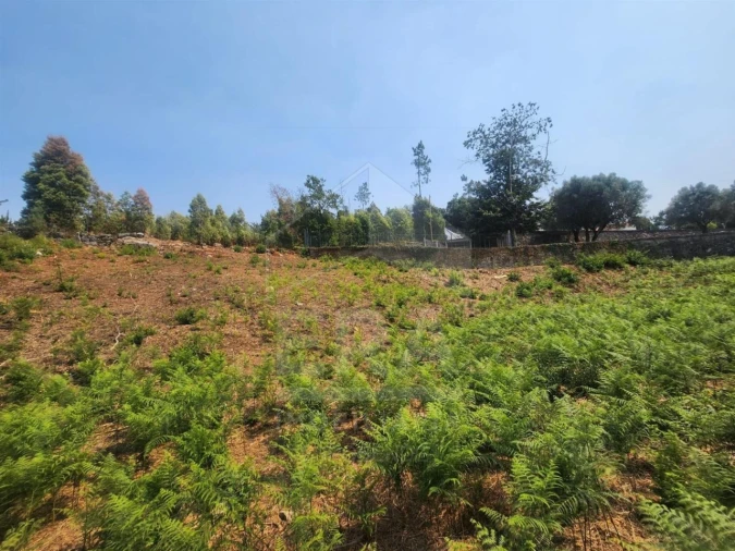 Terreno para Venda em Fontão Foto 5
