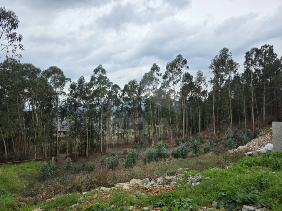 Terreno para Venda em Lanheses Foto 2