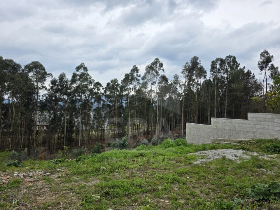 Terreno para Venda em Lanheses Foto 1