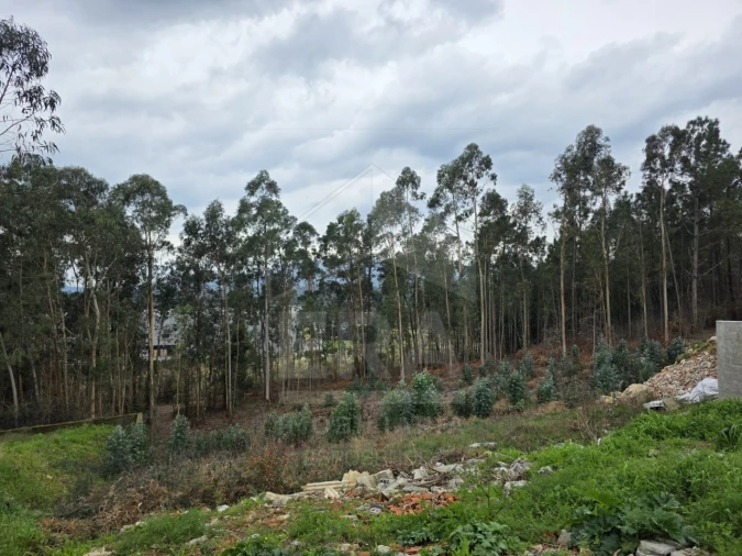 Terreno para Venda em Lanheses Foto 2