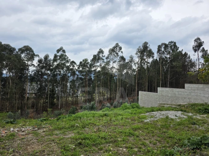 Terreno para Venda em Lanheses