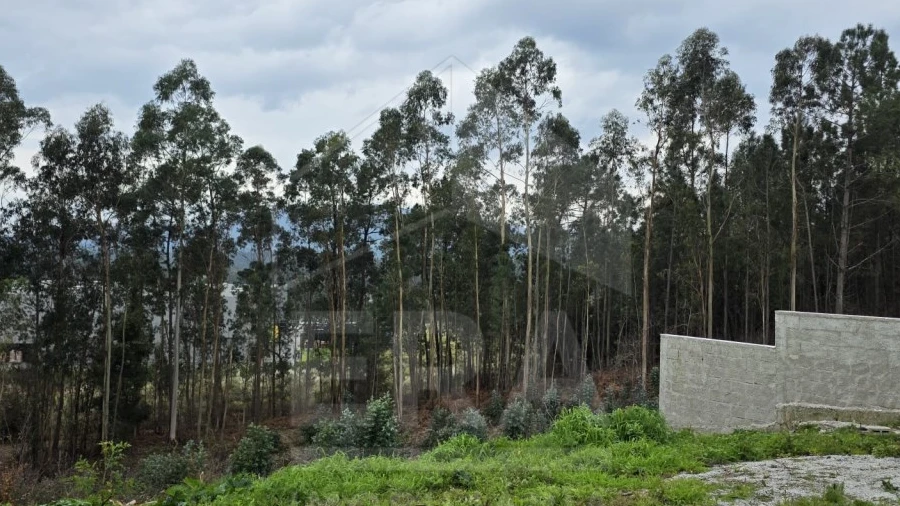 Terreno para Venda em Lanheses