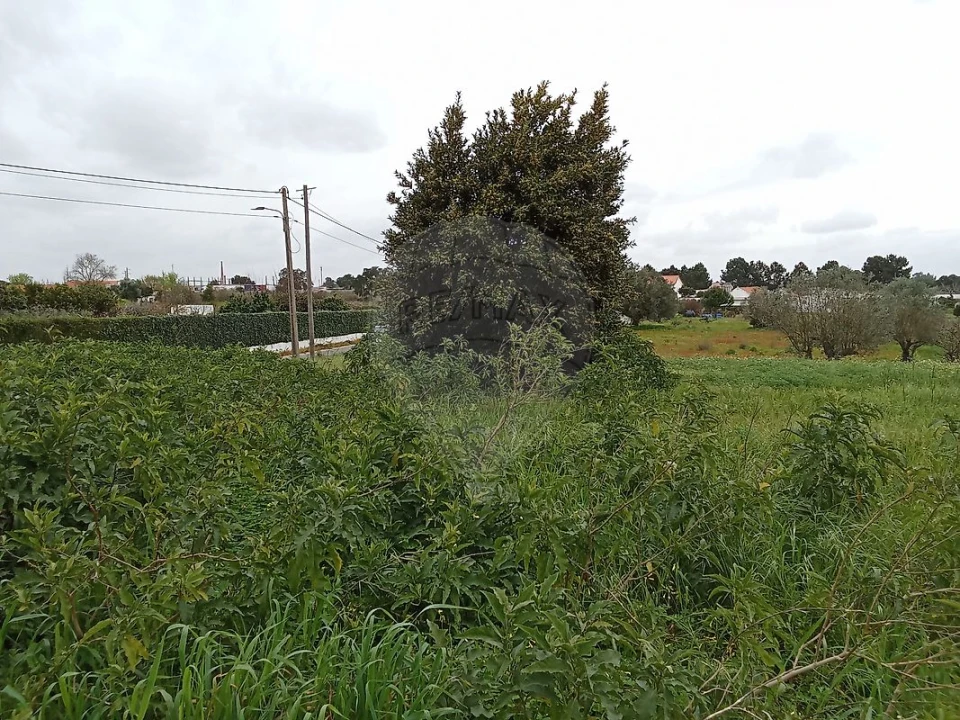 Terreno para Venda em Vale da Pedra Foto 4
