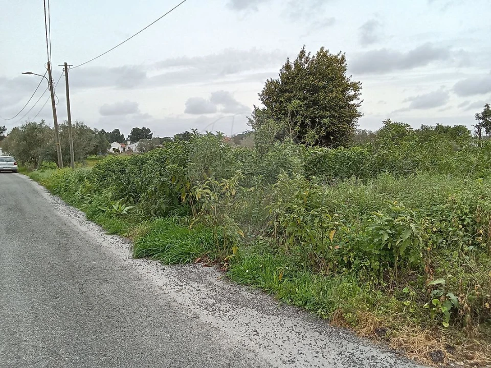 Terreno para Venda em Vale da Pedra Foto 12
