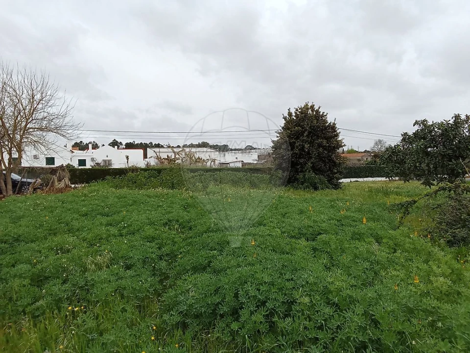 Terreno para Venda em Vale da Pedra Foto 11