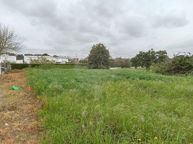 Terreno para Venda em Vale da Pedra Foto 9