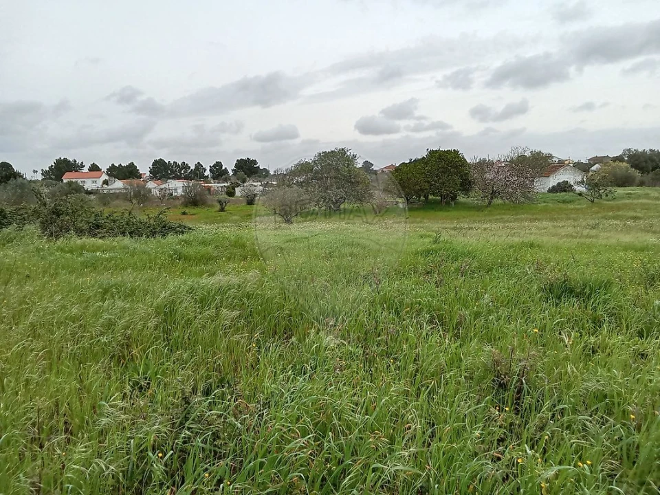 Terreno para Venda em Vale da Pedra Foto 8